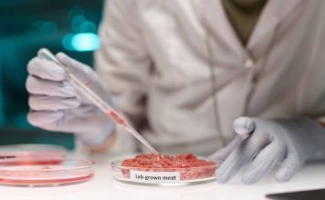 Lab-Grown Meat Hits Supermarkets: The Future of Protein Lab-Grown Meat