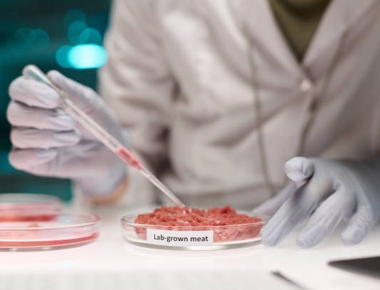 Lab-Grown Meat Hits Supermarkets: The Future of Protein Lab-Grown Meat