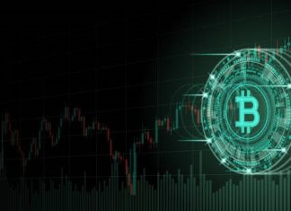 Cryptocurrency Price Discovery In Virtual Exchange Environments pepe coin price prediction